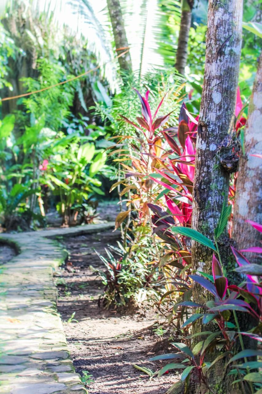 Cohune Palms River Resort Bullet Tree Falls