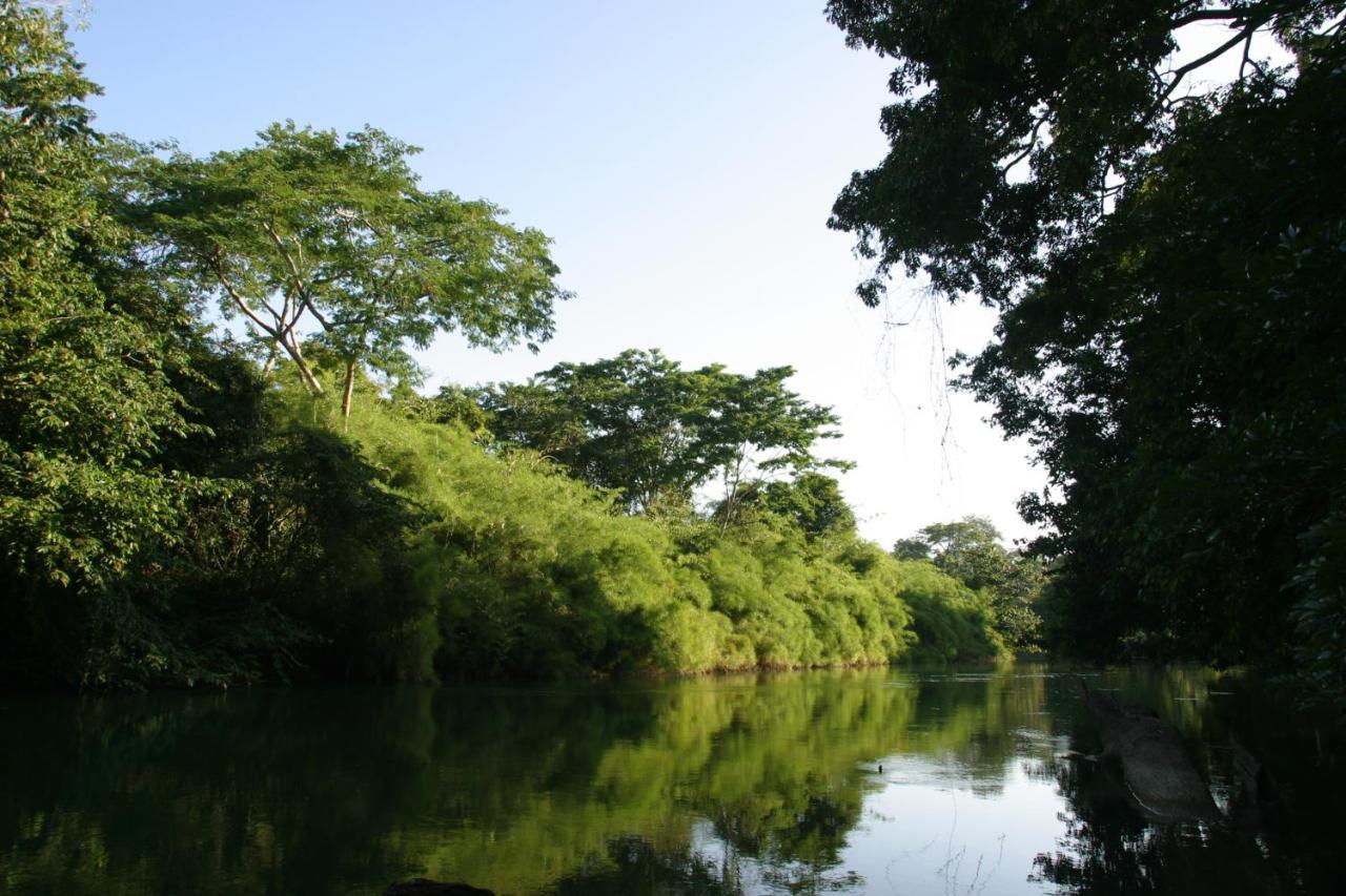 Cohune Palms River Resort 2*