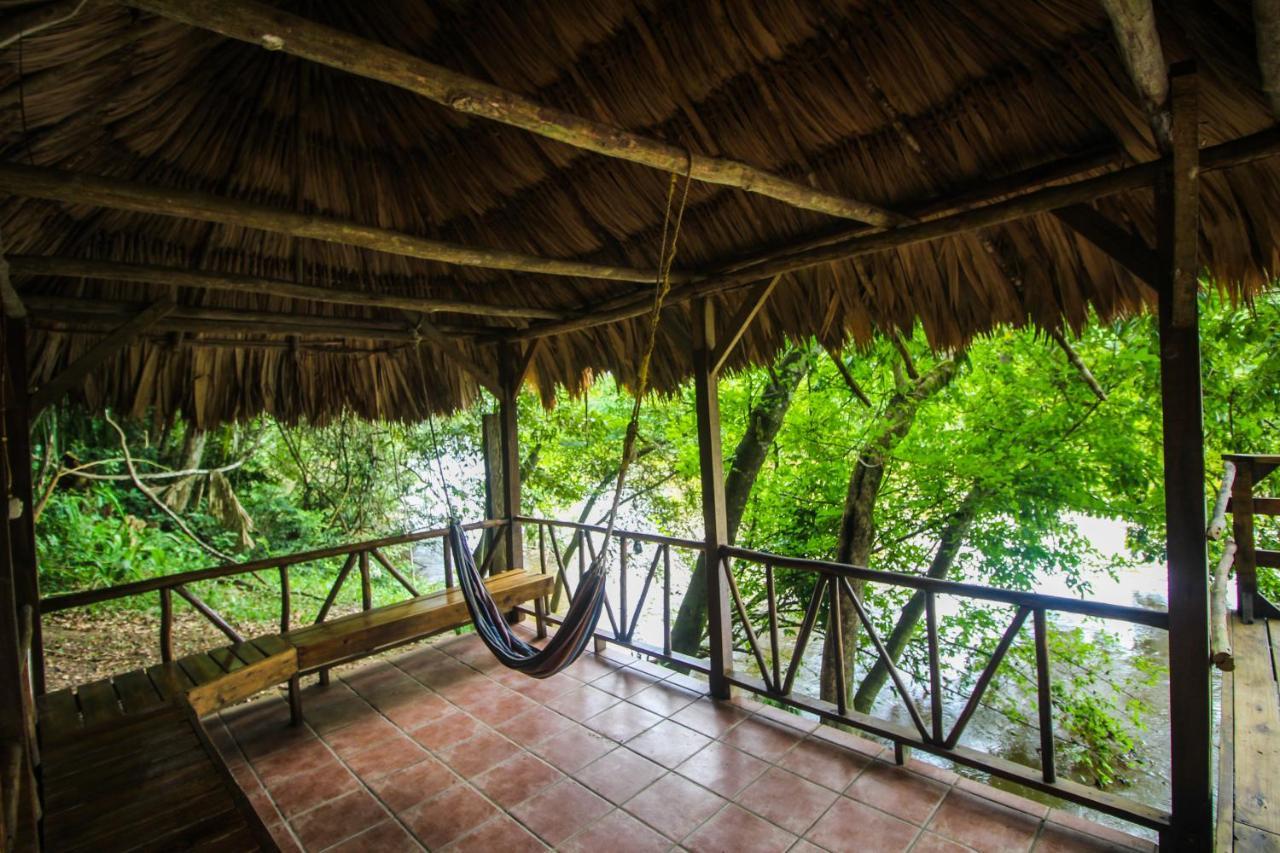 Cohune Palms River 2*