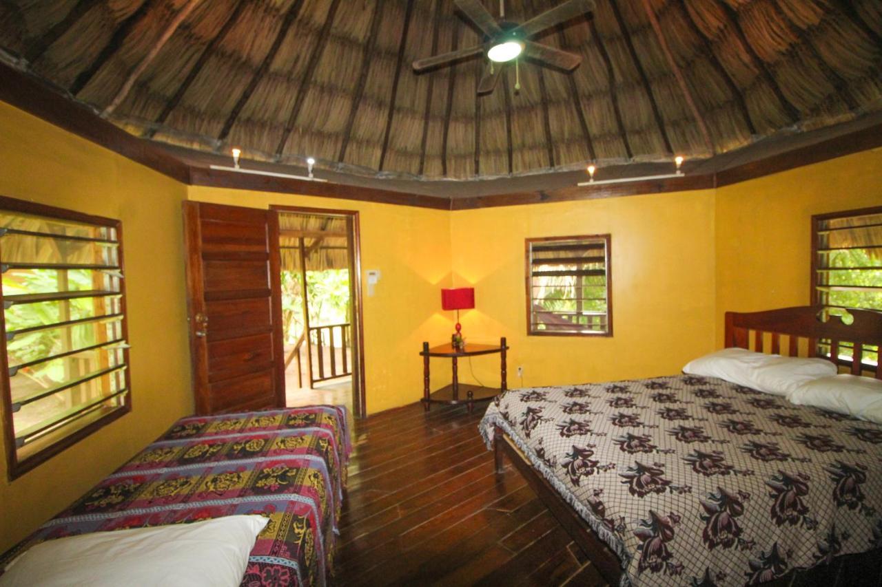 Resort Cohune Palms River Bullet Tree Falls