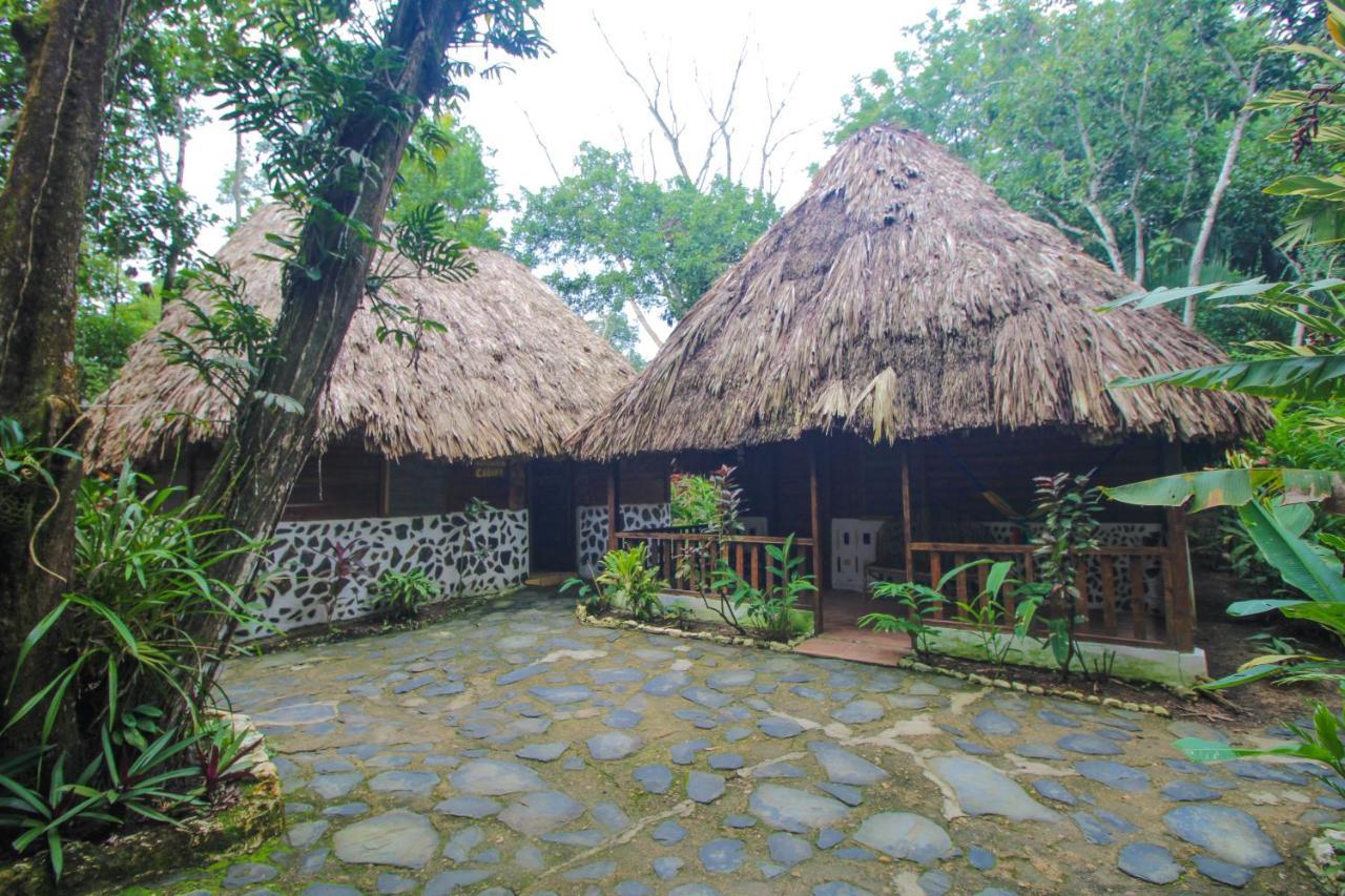 Cohune Palms River