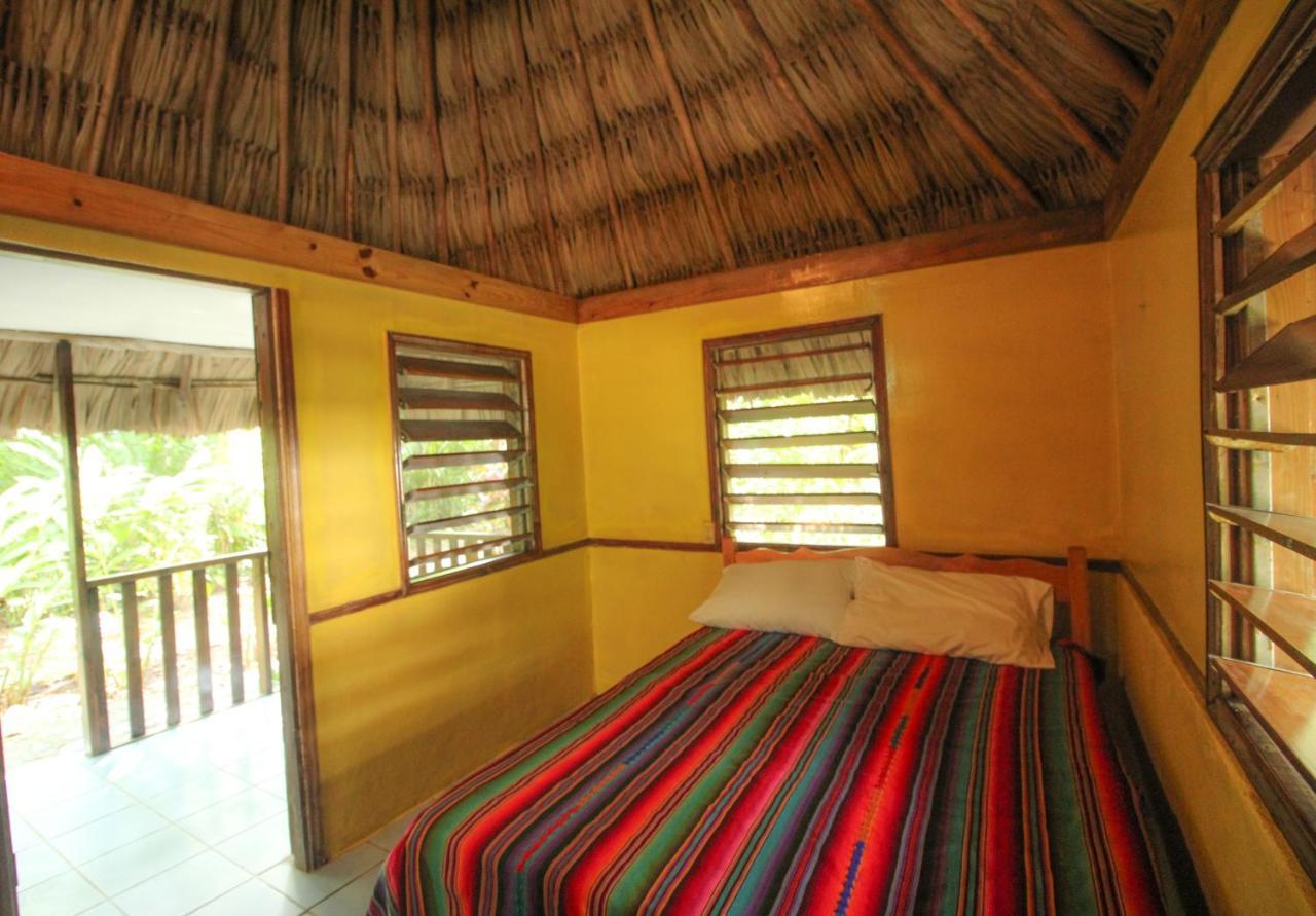 Cohune Palms River Resort