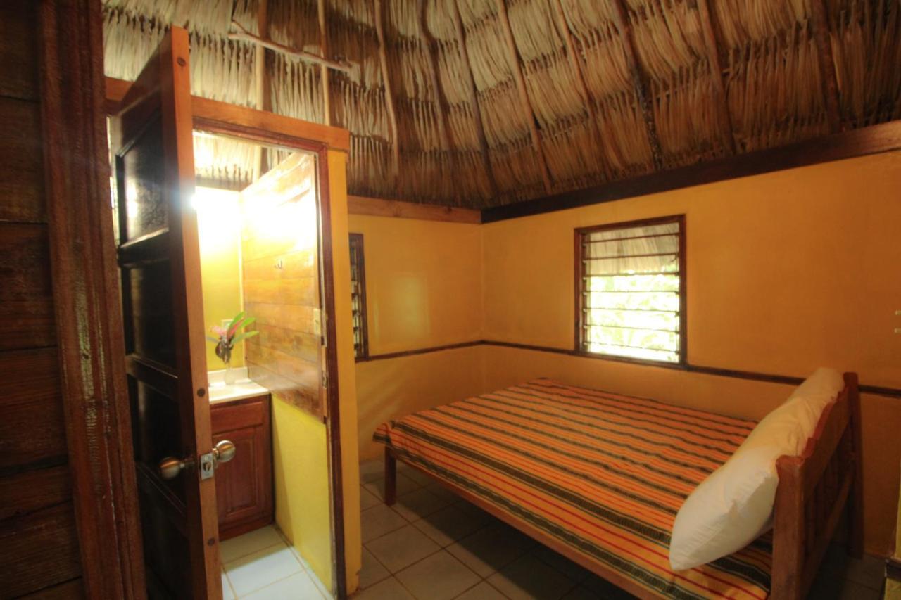 Cohune Palms River Resort Bullet Tree Falls
