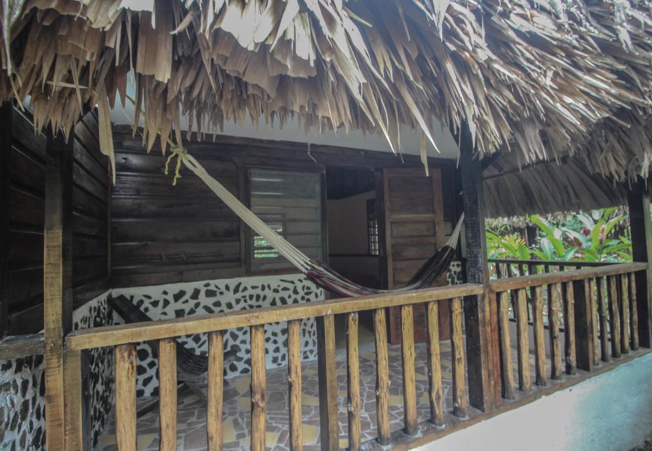 Resort Cohune Palms River