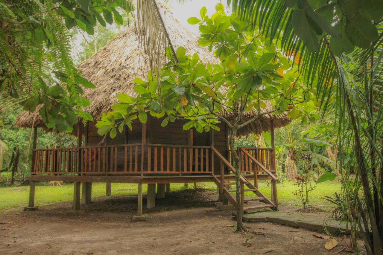 Resort Cohune Palms River Bullet Tree Falls