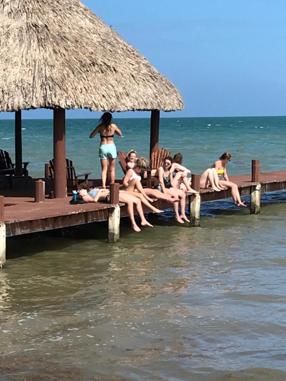 Green Parrot Beach Houses And
