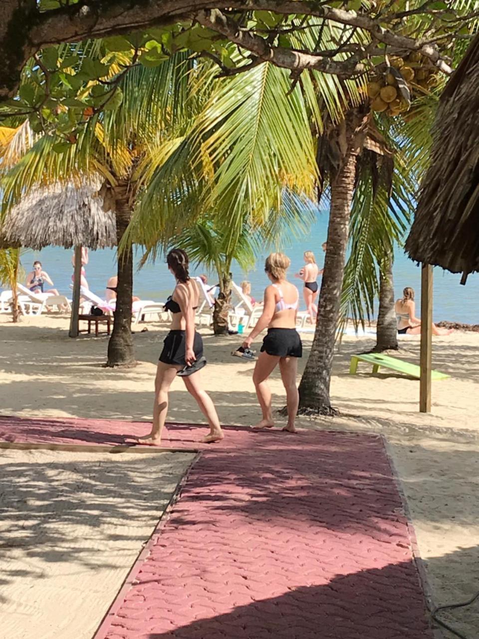 Green Parrot Beach Houses And * Placencia