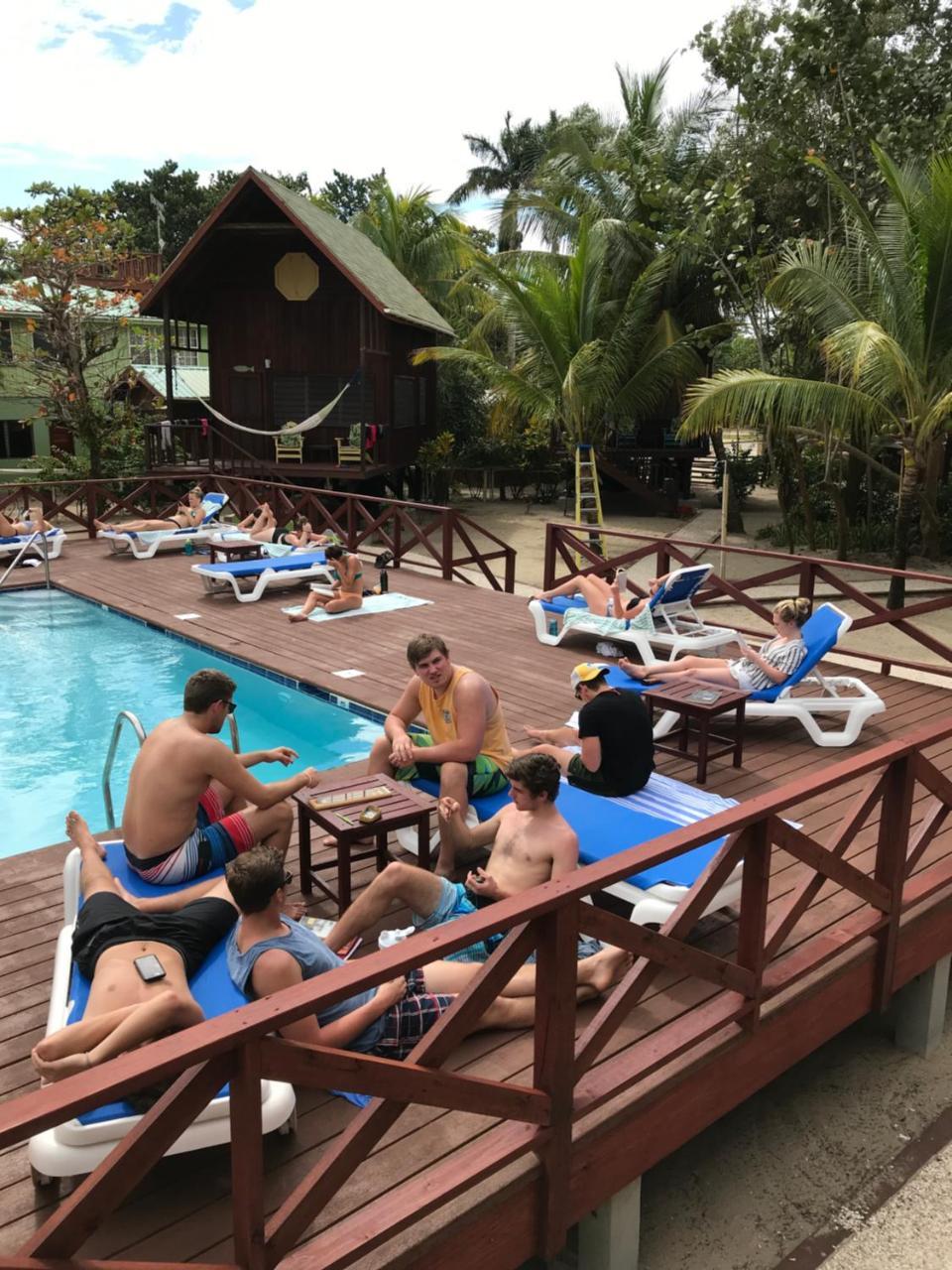 Lodge Green Parrot Beach Houses And *