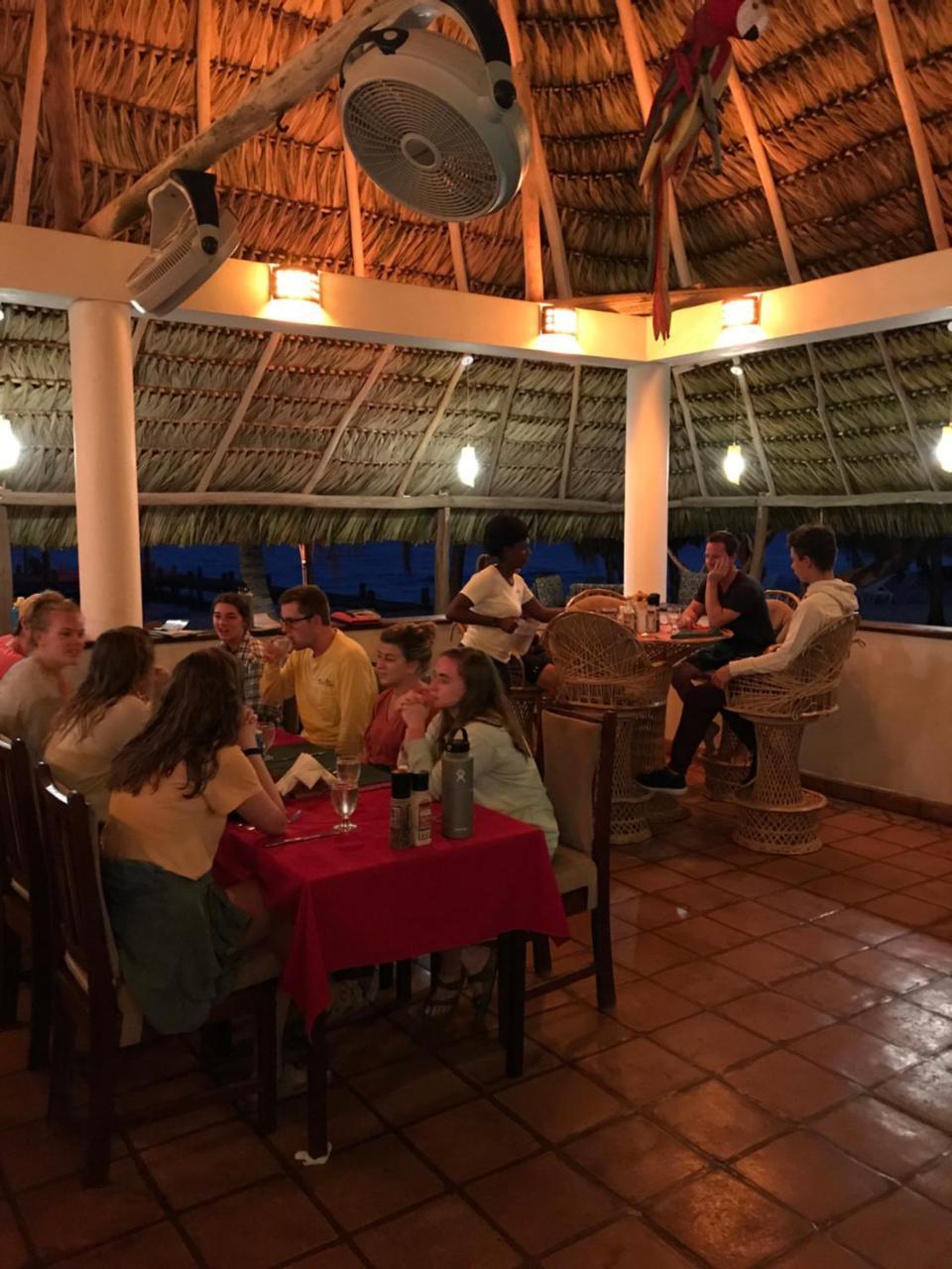 Green Parrot Beach Houses And Lodge