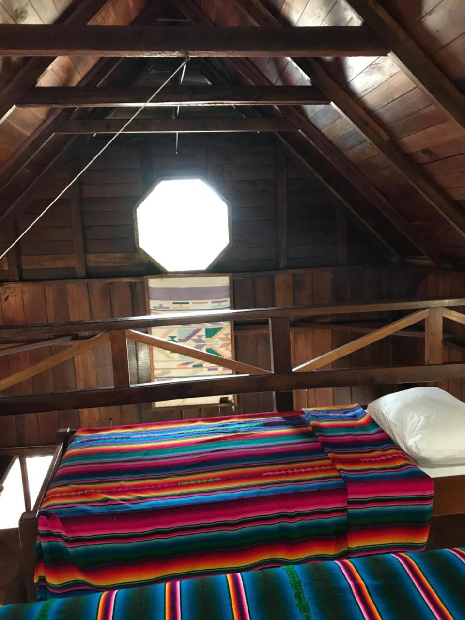 Green Parrot Beach Houses And Lodge