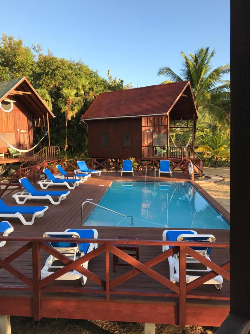 Green Parrot Beach Houses And Placencia