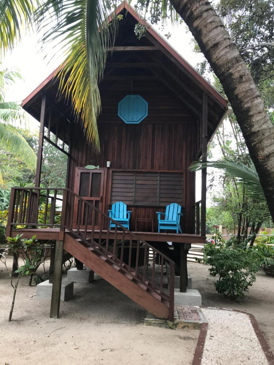 Green Parrot Beach Houses And *