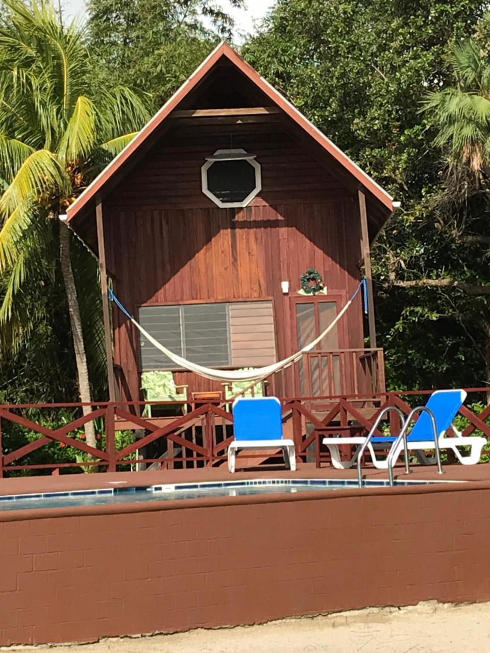 Green Parrot Beach Houses And Placencia