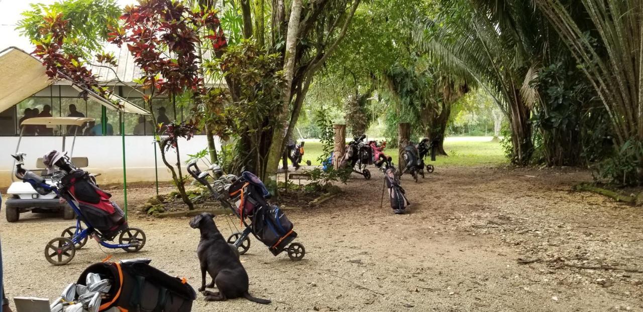 Resort Roaring River Golf & 4*