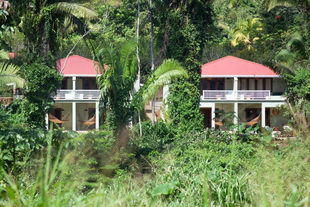 Lodge Sleeping Giant Rainforest *