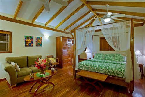 Hotel Belizean Dreams 4*