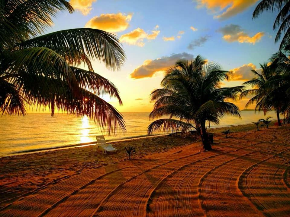 Lodge Jungle Jeanie's By The Sea Hopkins