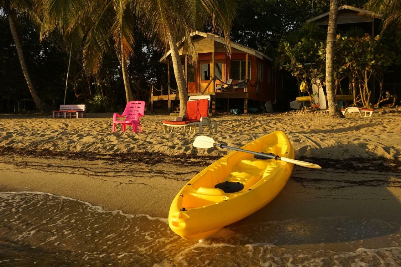 Lodge Jungle Jeanie's By The Sea