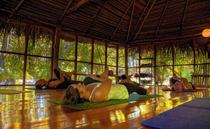 Lodge Jungle Jeanie's By The Sea *