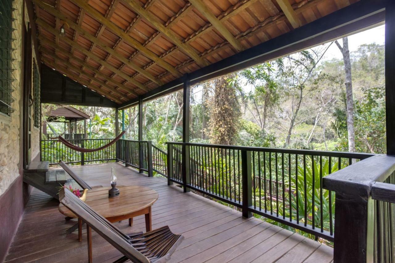 Lodge Sweet Songs Jungle *