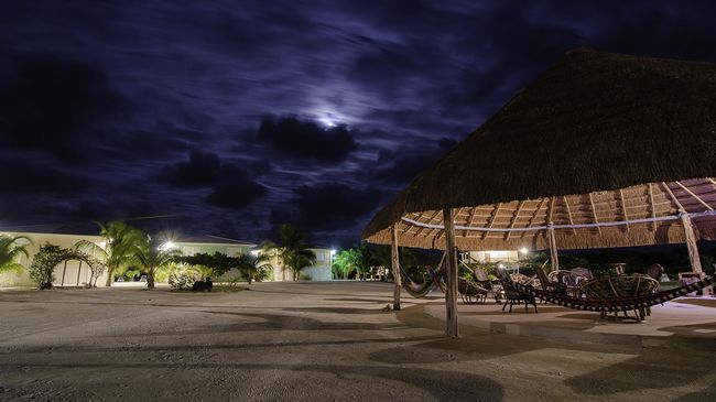 Hotel Royal Palm Island