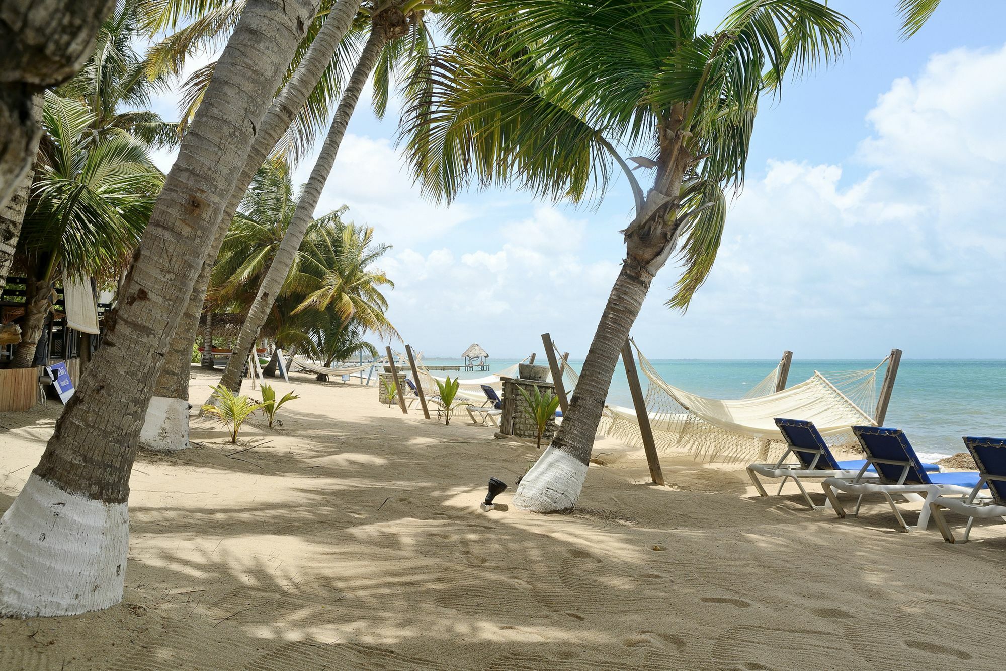 Parrot Cove