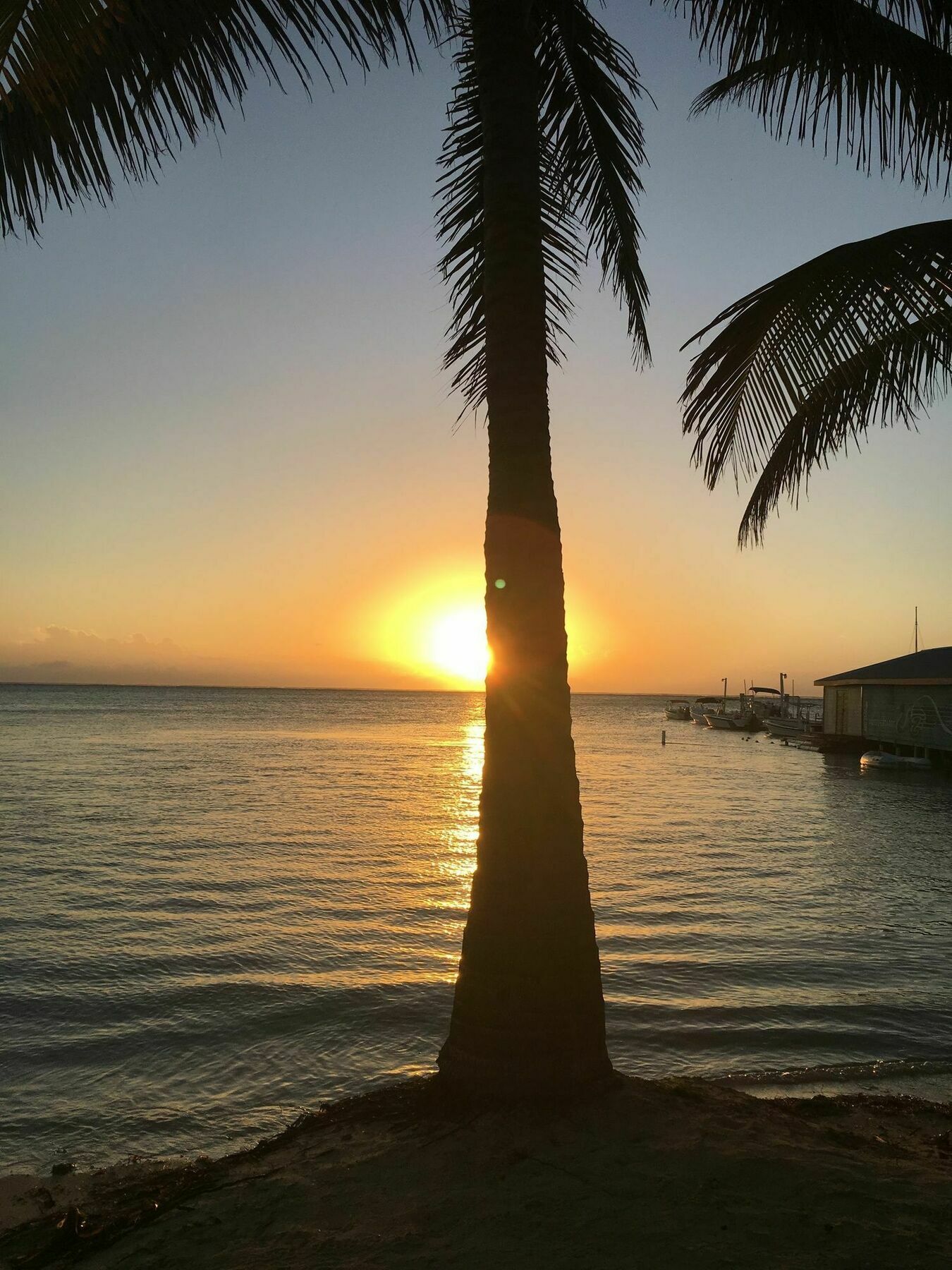 The Palapa House Hotel