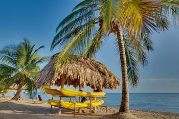 Hotel Belizean Dreams 4*
