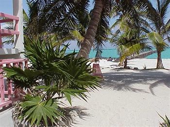 Seven Seas Adults Only 3* San Pedro (Ambergris Caye)