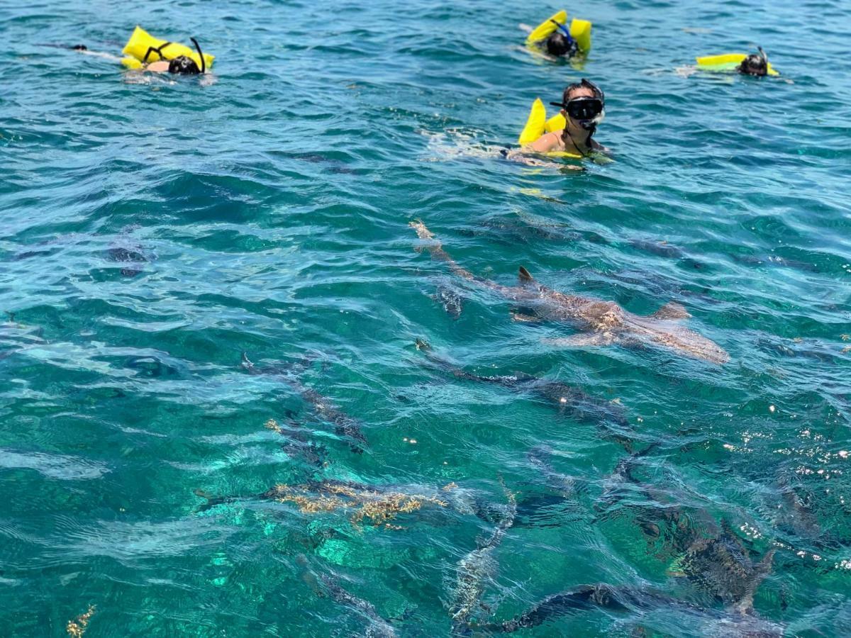 Caye Casa San Pedro (Ambergris Caye)
