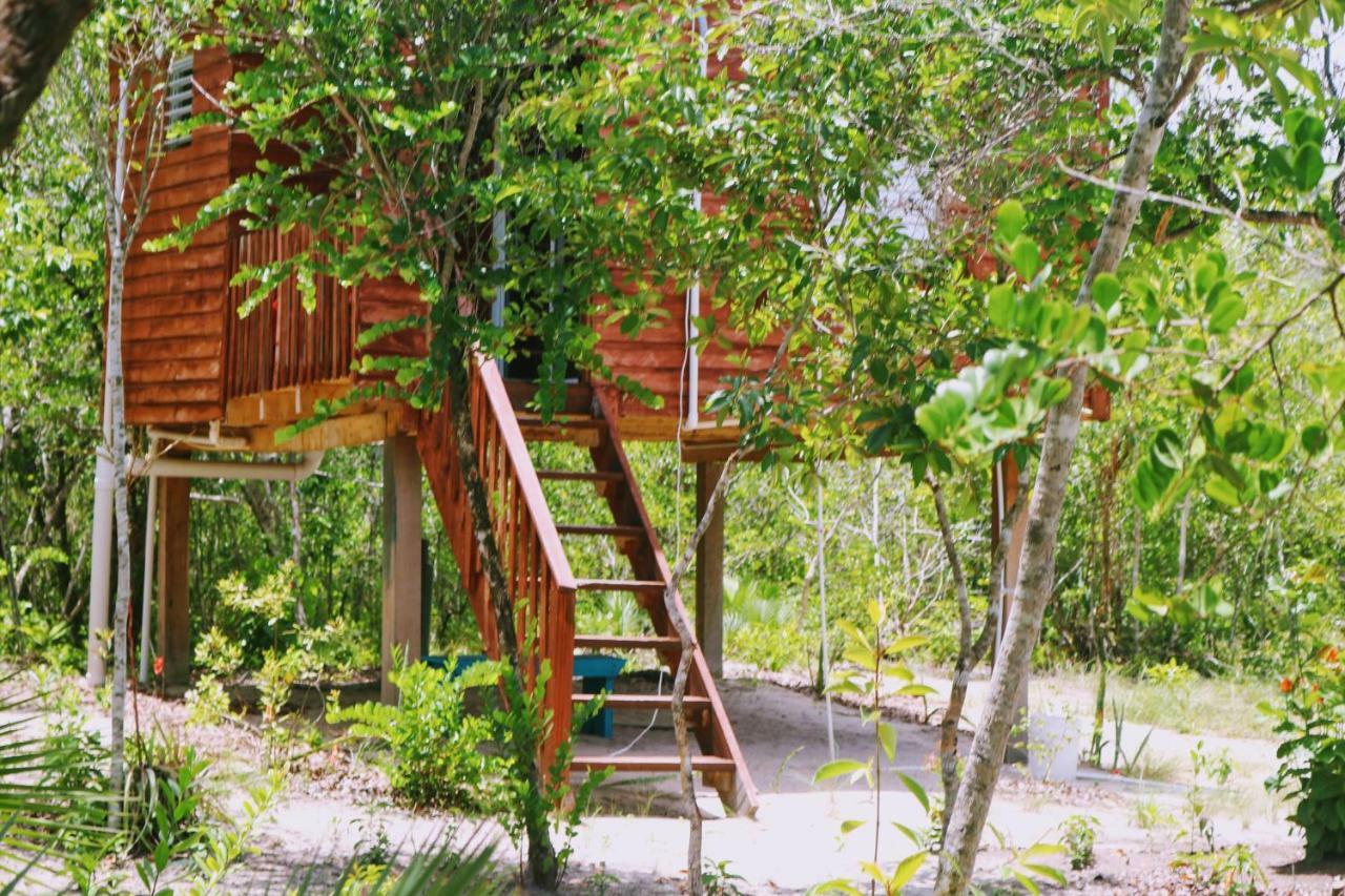 Palmento Grove Garifuna Eco-cultural & Healing Institute Hopkins
