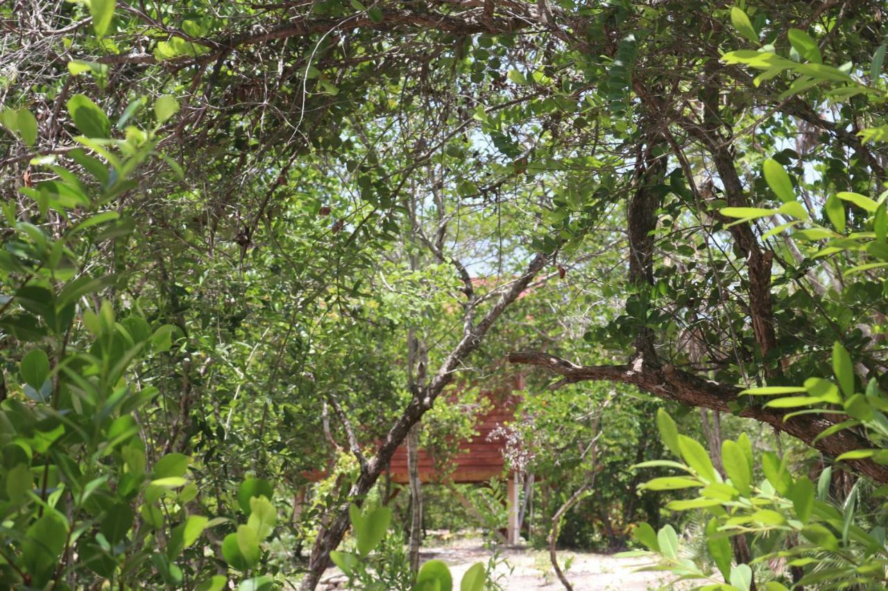 Palmento Grove Garifuna Eco-cultural & Healing Institute Hopkins