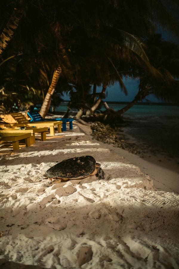 Ranguana Caye Placencia