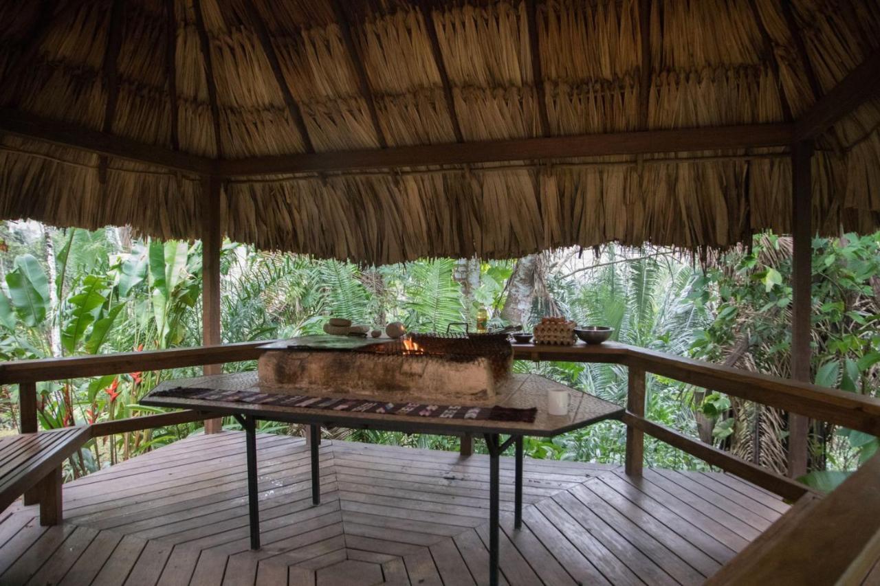 Lodge Sweet Songs Jungle *