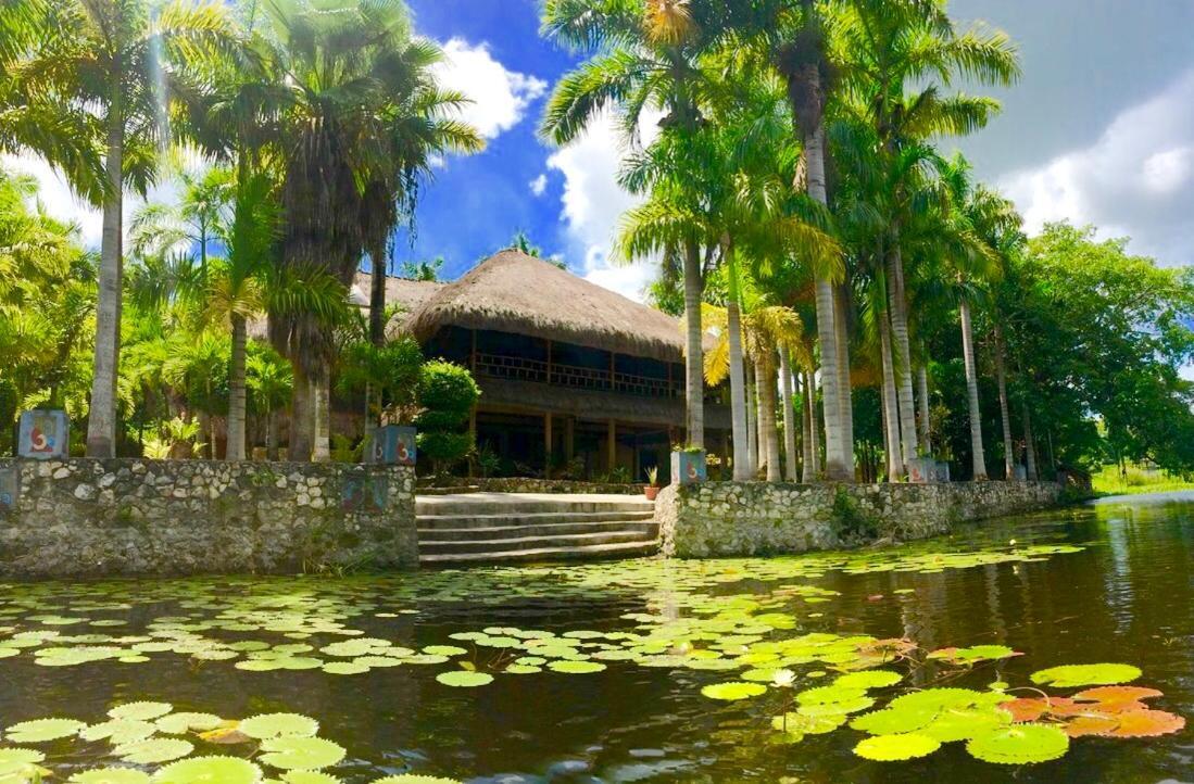 Resort The Mayan Garden Jungle Lodging & Retreat Center *