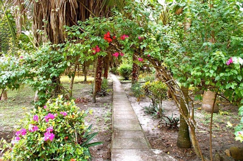 Resort The Mayan Garden Jungle Lodging & Retreat Center *