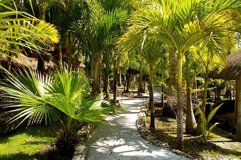 Resort The Mayan Garden Jungle Lodging & Retreat Center Orange Walk Town