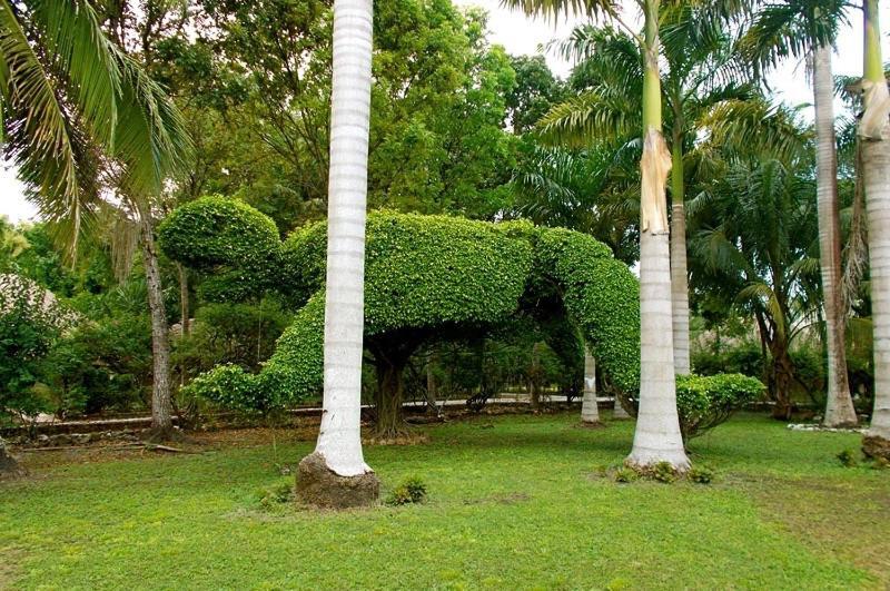 The Mayan Garden Jungle Lodging & Retreat Center Orange Walk Town
