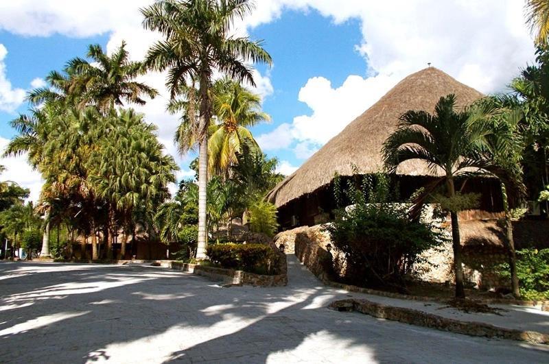 The Mayan Garden Jungle Lodging & Retreat Center