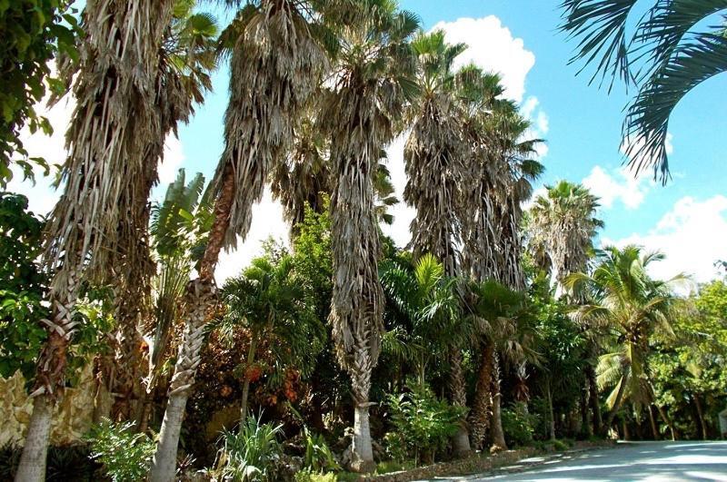 The Mayan Garden Jungle Lodging & Retreat Center