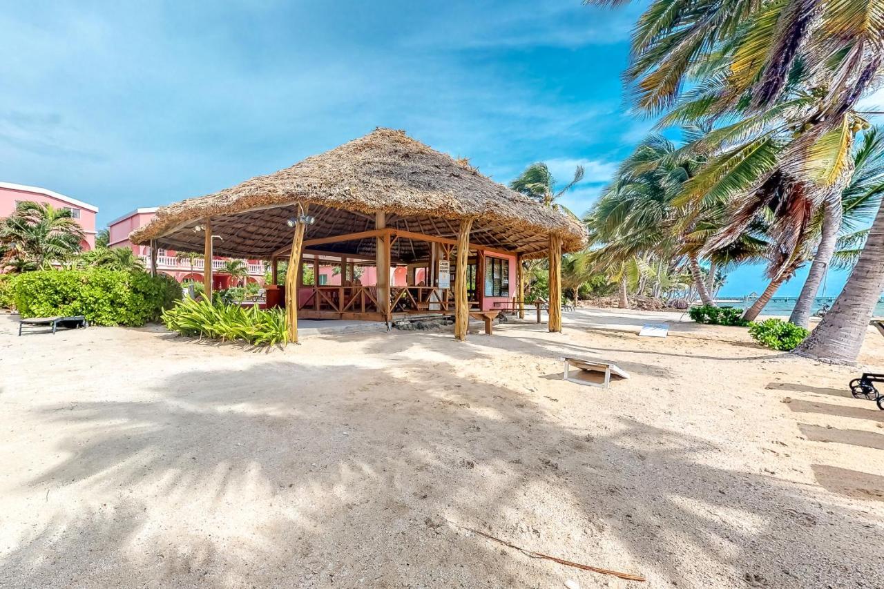 Cacao @ Caribe Island