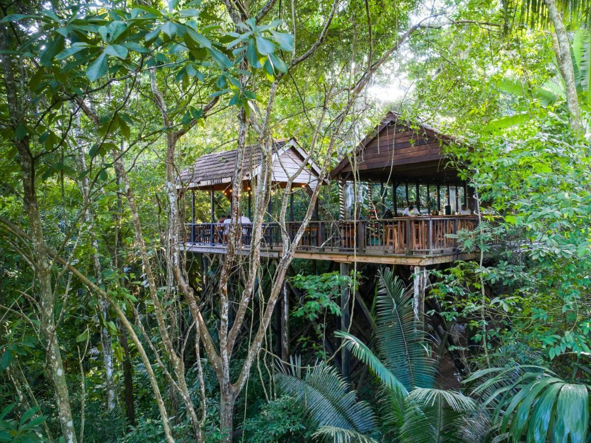 Sweet Songs Jungle Lodge San Ignacio