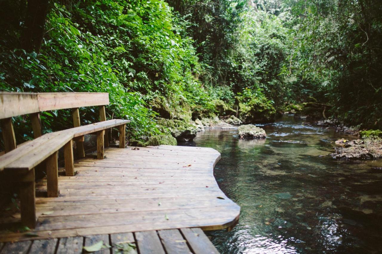 Resort Jaguar Creek 2*