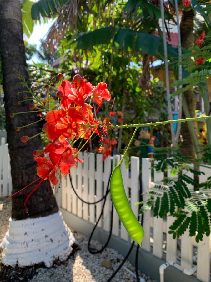 Guest house Seasons Belize *