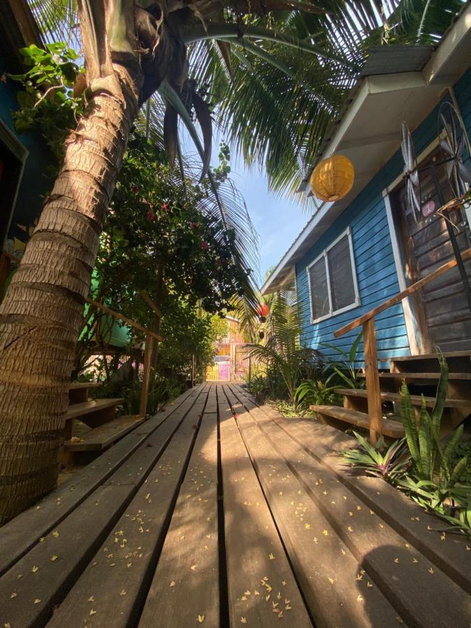 The Funky Dodo Backpackers Hostel *
