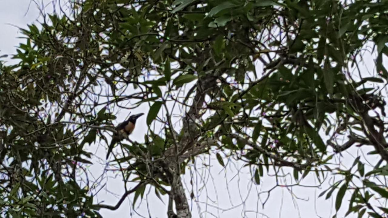 Lodge Nature Bermudian Landing
