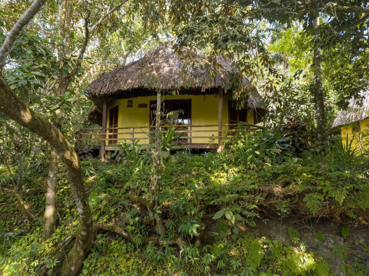 Tanager Rainforest Resort Big Falls