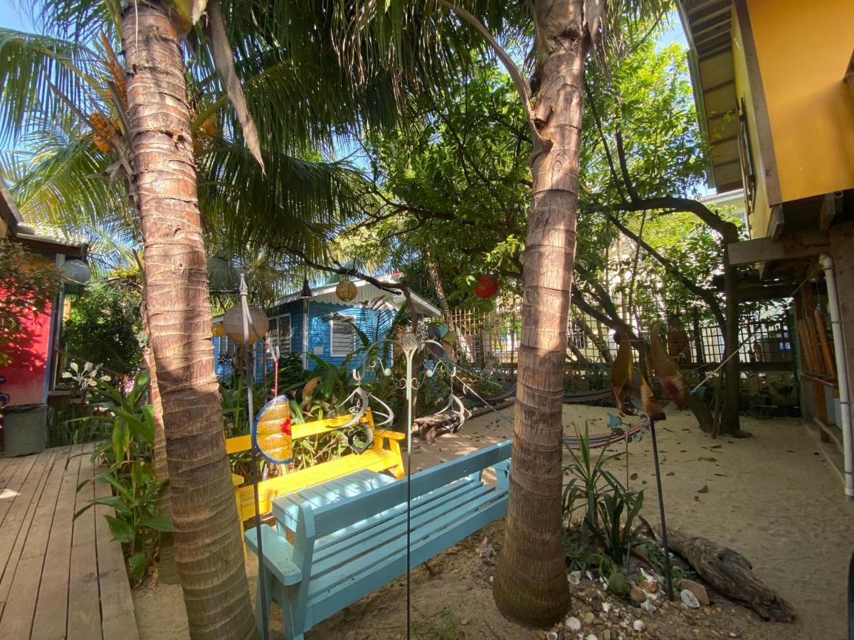 The Funky Dodo Backpackers Hostel *