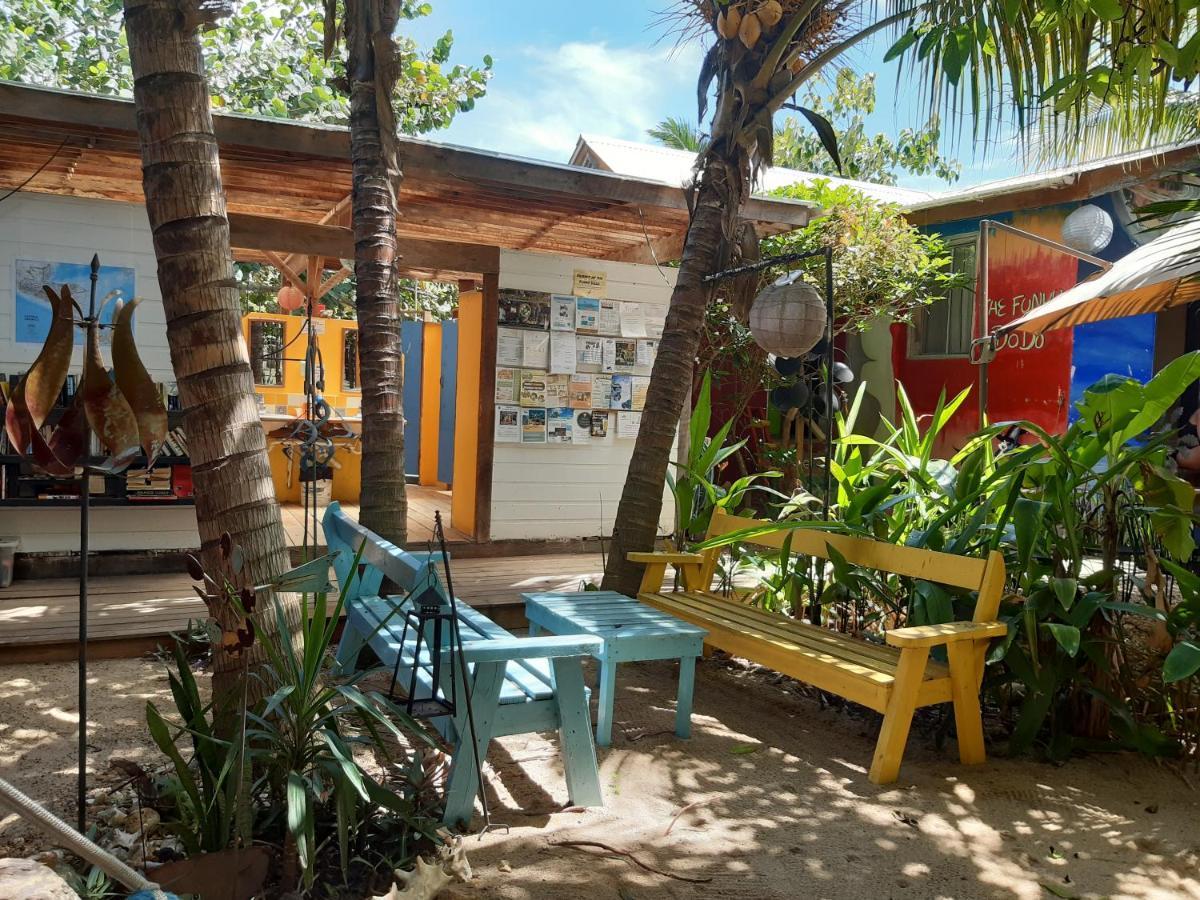 The Funky Dodo Backpackers Hostel
