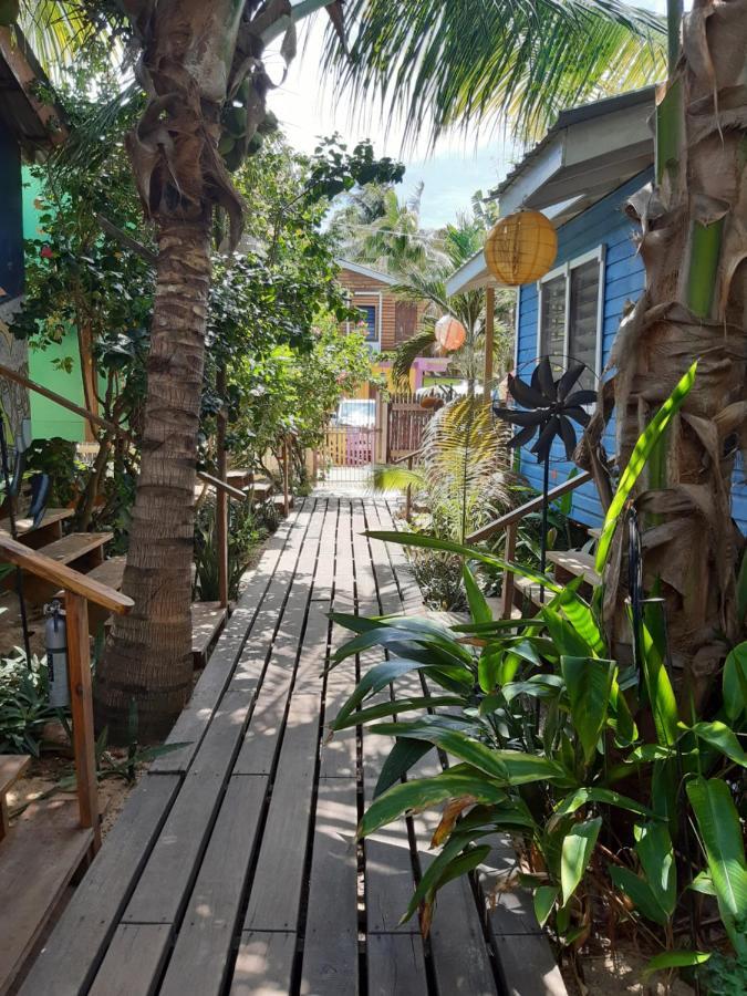 The Funky Dodo Backpackers Hostel